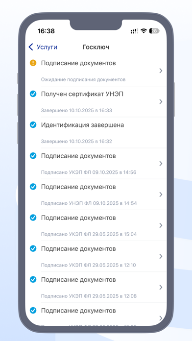 Скриншот Госключ 5