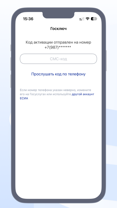 Скриншот Госключ 4